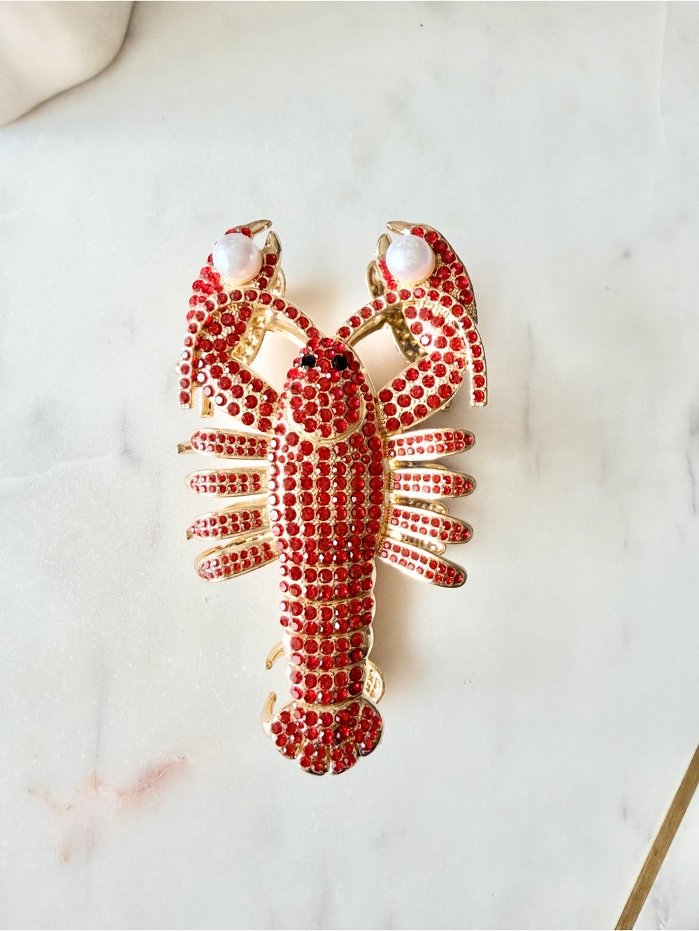 Lobster Claw Hair Clip
